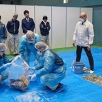 　京都府などが宇治市で実施した避難所の運営訓練で、吐しゃ物の処理方法を学ぶ市職員ら＝１０日午後