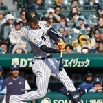 　７回、右中間に２点三塁打を放つ阪神・岡城＝甲子園