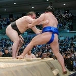 　安青錦（左）が押し出しで藤ノ川を下す＝エディオンアリーナ大阪