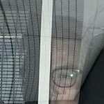 　酒井じゅんほ容疑者＝２月