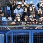 　関係者通路から、試合後のイベントをのぞき込むヤクルトの球団マスコット「つば九郎」＝１５日、神宮球場