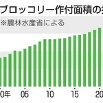 　ブロッコリー作付面積の推移