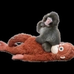 　「パンチ」の写真を使った公式ＬＩＮＥ（ライン）スタンプ（市川市提供）