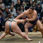 　豊昇龍（右）がはたき込みで琴勝峰を下す＝エディオンアリーナ大阪