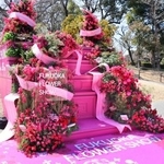 　花の祭典「フクオカフラワーショー」の会場内に設置されたフォトスポット＝２０日、福岡市植物園