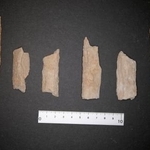 　古代文明「ディルムン」の古墳調査で見つかった人骨（アアリ古墳群西考古学プロジェクト提供）