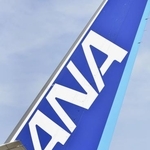 　全日空機の垂直尾翼