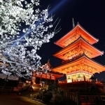 　春の夜間特別拝観が始まるのを前に、試験点灯でライトアップされた京都市東山区の清水寺＝２６日夜