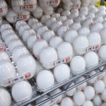 　東京都練馬区のスーパー「アキダイ」関町本店に並ぶ卵パック＝２０２４年１０月