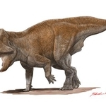 　角竜類の復元画（作・小田隆、久慈琥珀博物館提供）