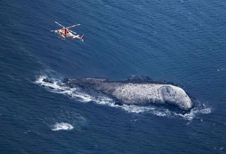 　ダイバー９人が一時不明となった北海道稚内市沖の弁天島付近＝４日午後２時４５分（共同通信社ヘリから）
