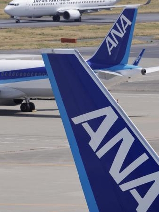 　全日空のロゴ＝羽田空港