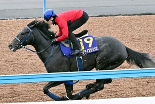 　皐月賞に向け、最終追い切りを行うリアライズシリウス＝美浦トレーニングセンター