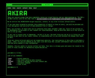 　ハッカーが身代金を要求するサイトの画面（ハッカーの連絡先をモザイク加工しています）