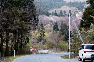 　男性警察官がクマに襲われた現場付近＝２１日午後、岩手県紫波町
