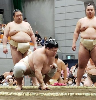 　大相撲の春巡業で稽古する宇良＝東京都府中市