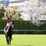 　第７０回大阪杯を制したクロワデュノールと北村友一騎手＝阪神競馬場