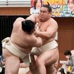 　春巡業で汗を流す豊昇龍（右）＝静岡県三島市