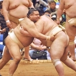 　大相撲春巡業の朝稽古で相撲を取る高安（左）＝千葉県成田市