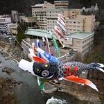 　札幌市南区の定山渓温泉でこどもの日を前に始まった「渓流鯉のぼり」＝１０日午前