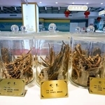 　中医薬を扱う店舗で展示される生薬＝７日、北京（共同）