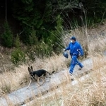 　靴が発見された現場付近を調べる京都府警の捜査員＝１２日午後６時１８分、京都府南丹市