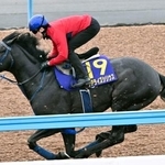 　皐月賞に向け、最終追い切りを行うリアライズシリウス＝美浦トレーニングセンター