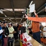 　宮崎市中央卸売市場で行われた完熟マンゴー「太陽のタマゴ」の初競り＝１６日午前