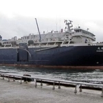 　３年目の操業に向け、下関港を出港する「関鯨丸」＝１８日午前、山口県下関市