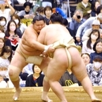 　大相撲春巡業の朝稽古で相撲を取る琴桜（左）＝埼玉県所沢市