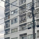 　台湾のプリンス幹部が代表取締役を務める「カデア」が入居するビル＝１月、東京都北区