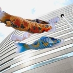 　東京・霞が関の空を泳ぐこいのぼり＝２０日午前