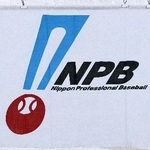 　日本野球機構（ＮＰＢ）の旗