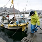 　地震から一夜明け、カキいかだの確認と作業のため、出港準備をする漁師＝２１日午前、岩手県大船渡市