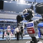 　２０２５年８月に行われた「世界人型ロボットスポーツ大会」のキックボクシングの試合前にポーズをとるロボット＝北京（共同）