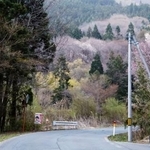 　男性警察官がクマに襲われた現場付近＝２１日午後、岩手県紫波町