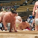 　春巡業で稽古する琴勝峰（左）＝東京・大田区総合体育館