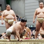 　大相撲の春巡業で稽古する宇良＝東京都府中市