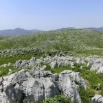 　山口県美祢市の「Ｍｉｎｅ秋吉台」（日本ジオパークネットワーク提供）