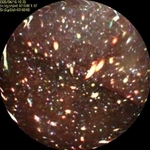 　東京電力福島第１原発２号機の原子炉圧力容器に挿入したファイバースコープで撮影した炉心を囲う隔壁（シュラウド）の外壁＝１６日（東電提供）