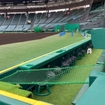 　甲子園球場のカメラマン席に設置された、選手の転落防止用ネット＝２４日