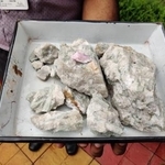 　重要鉱物のリチウム鉱石＝２０２３年９月、インド東部ブバネシュワル（ゲッティ＝共同）