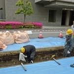 　防衛省の植樹帯に除染土を敷き詰める作業＝２５日午前