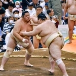 　大相撲春巡業の朝稽古で熱海富士（右）と相撲を取る琴桜＝２５日、千葉県船橋市