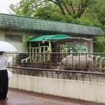 　熊本市動植物園のクロサイ舎＝２６日午後