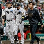 　８回、死球を受けベンチに下がる阪神・近本（中央）。途中交代となった＝甲子園