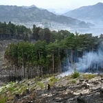 　岩手県大槌町の山林火災現場＝２７日午前