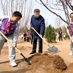 　植樹活動に参加する中国の習近平国家主席（中央）＝３月３０日、北京郊外（新華社＝共同）