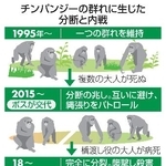 　チンパンジーの群れに生じた分断と内戦
