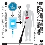 　遺伝性血管性浮腫に対するゲノム編集治療（イメージ）